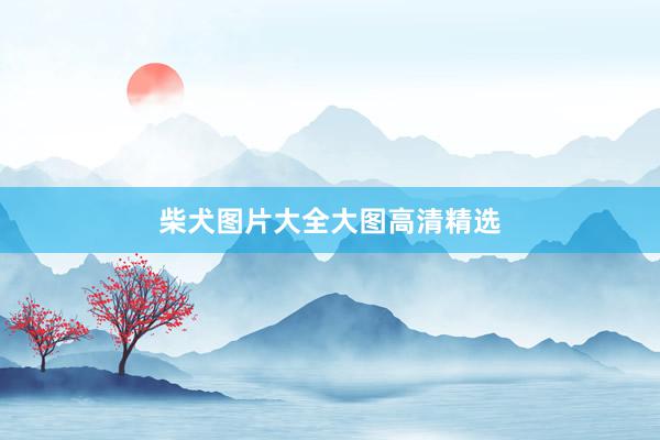 柴犬图片大全大图高清精选